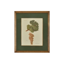 Mini: Decoração: Gravuras