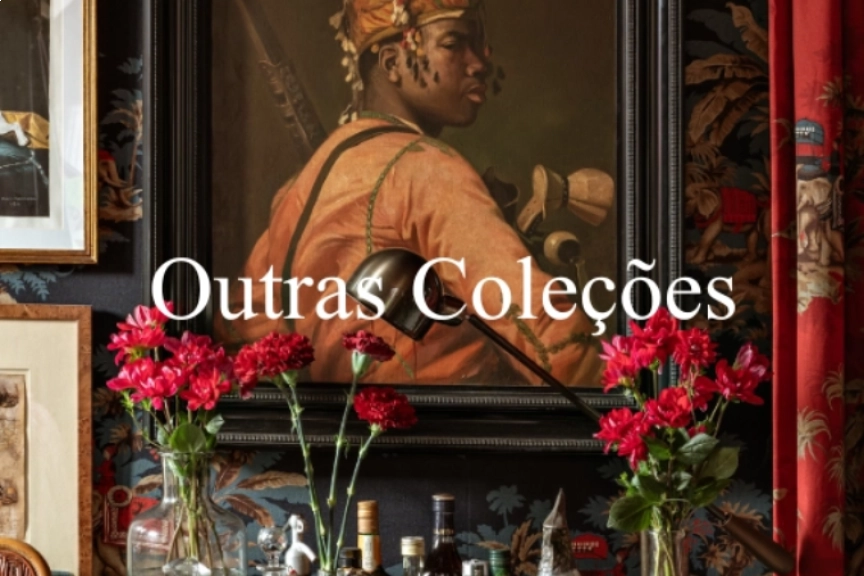 Outras Coleções