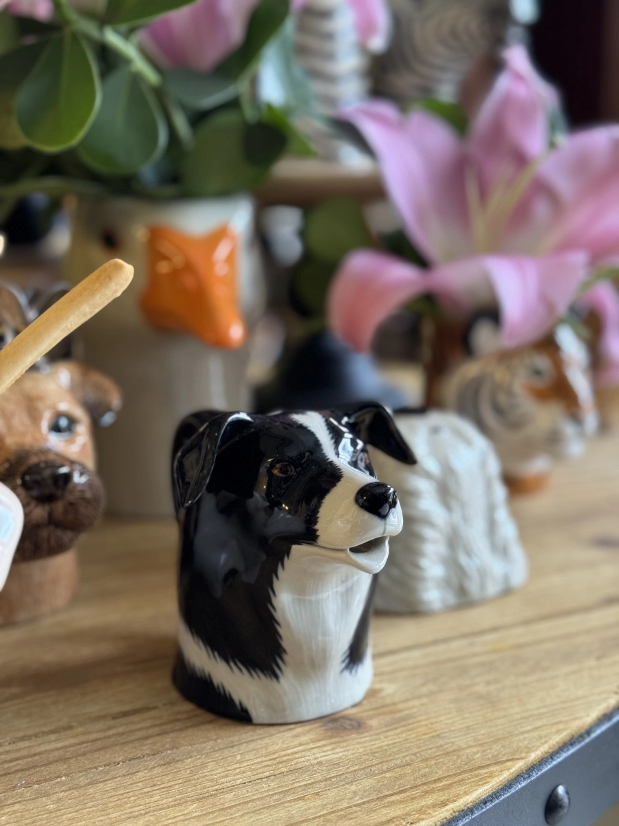 Jarra Border Collie Jarra Border Collie