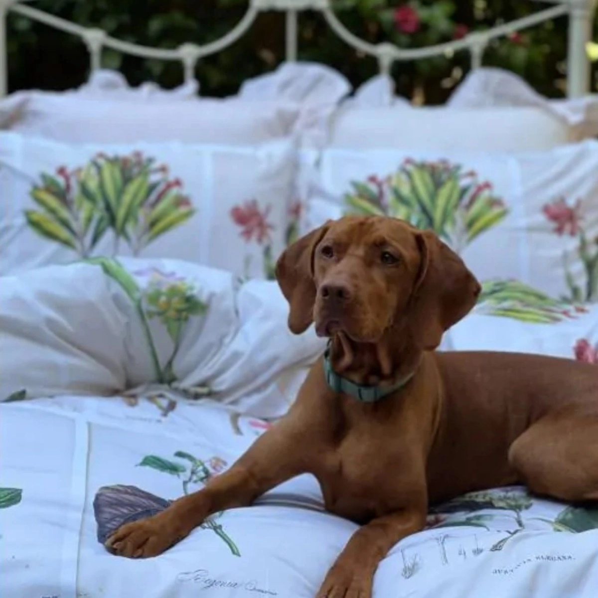 Kit Duvet Quadro Flores Kit Duvet Quadro Flores