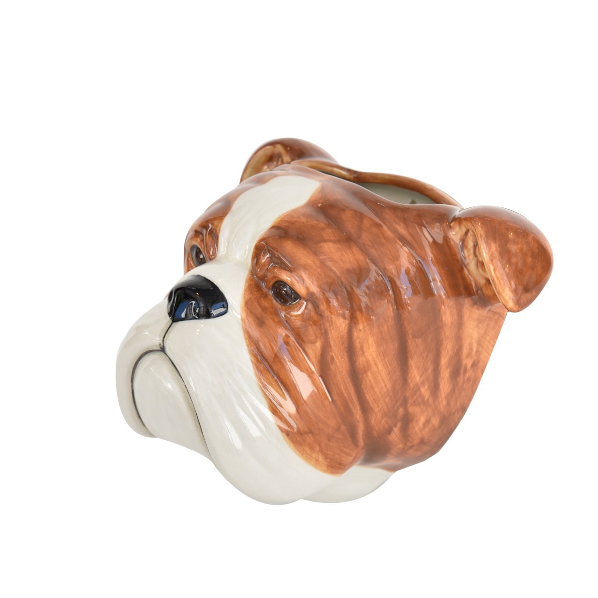 Vaso de Parede Bulldog