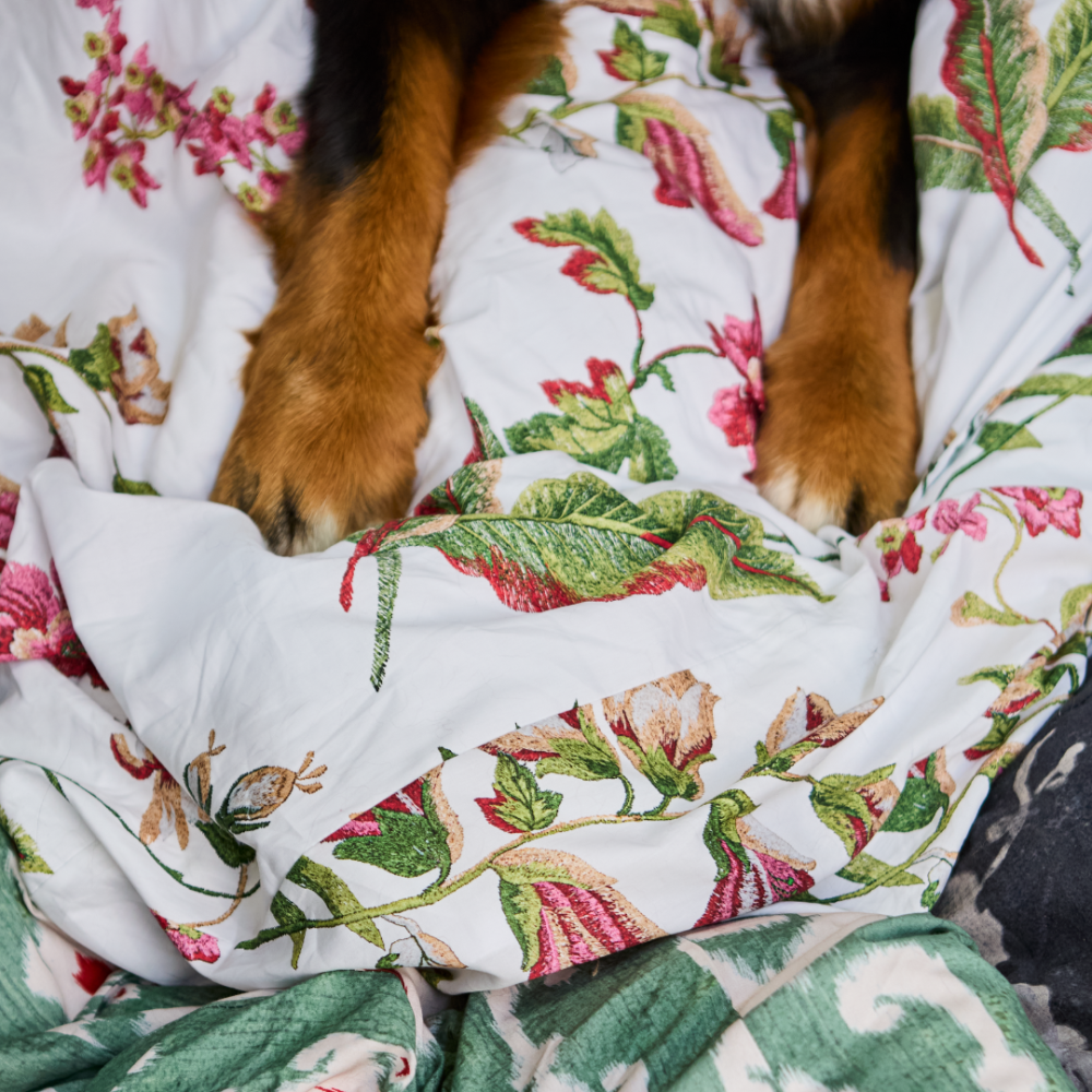 Capa de Duvet Floral Toulouse Solteiro Capa de Duvet Floral Toulouse Solteiro
