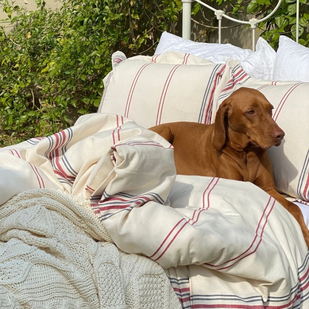 Duvet Sacaria-KING Duvet Sacaria-KING