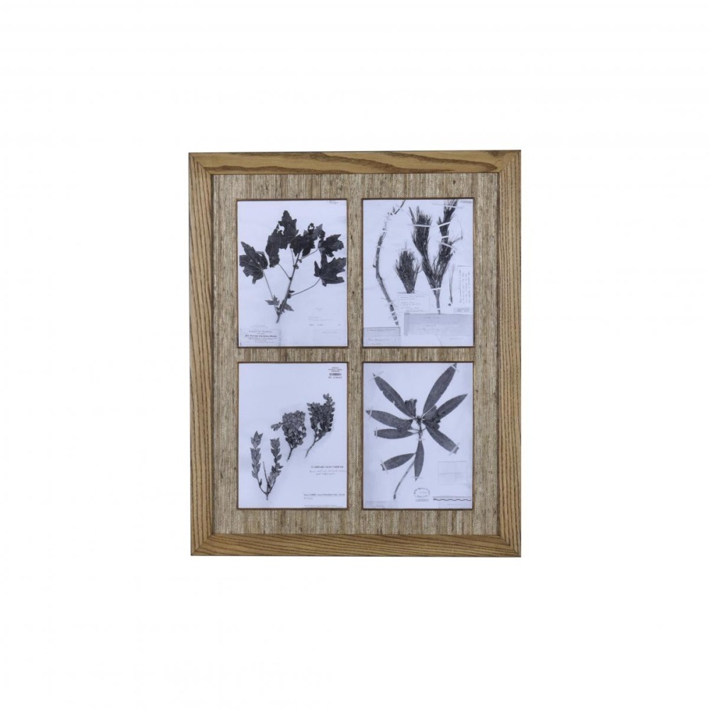 Gravura Herbário Quádruplo PB VI