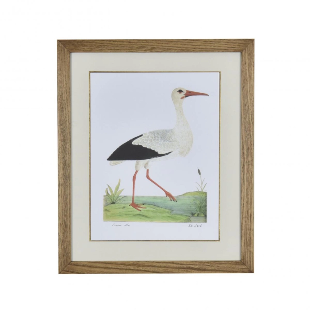 Gravura Ave III Gravura Ave III