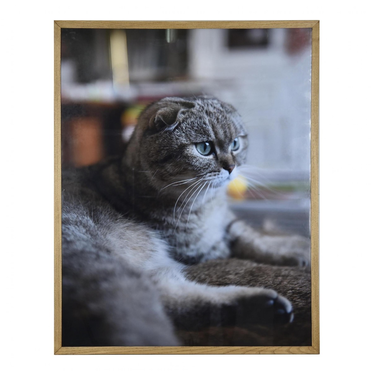 Gravura Gata I - SKU 07200064