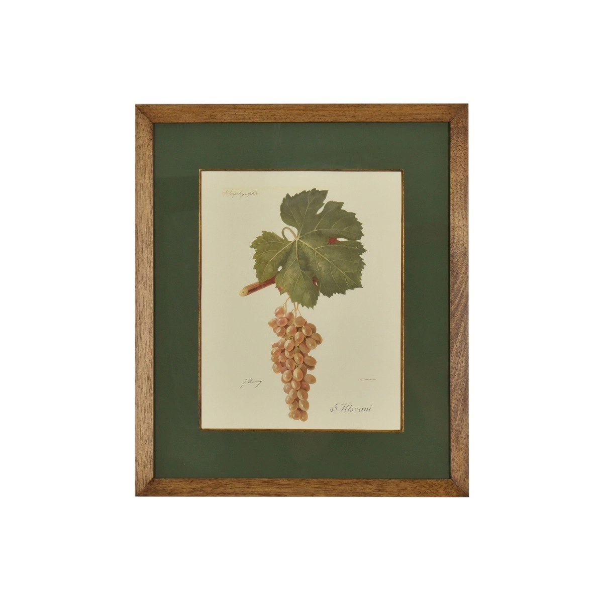 Gravura  Uvas - SKU 07202060