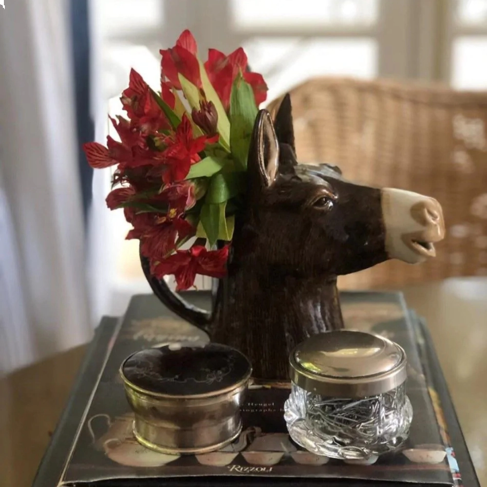 Jarra Burro Jarra Burro