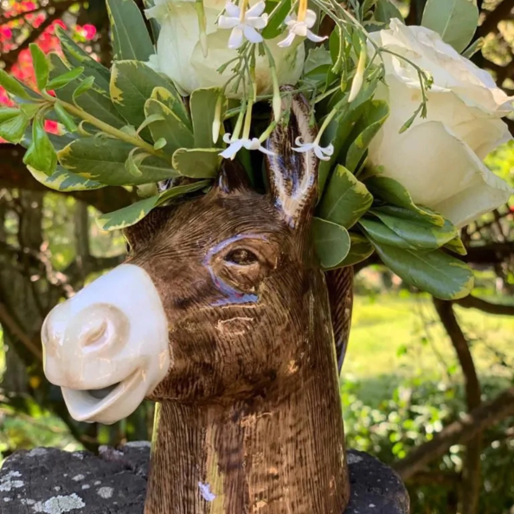 Jarra Burro Jarra Burro