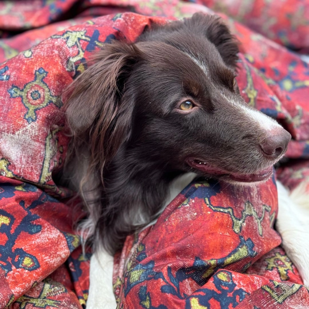 Kit Capa de Duvet Rug Zahra King Kit Capa de Duvet Rug Zahra King