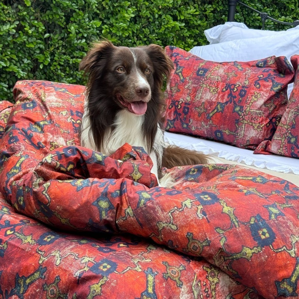 Kit Capa de Duvet Rug Zahra | Queen