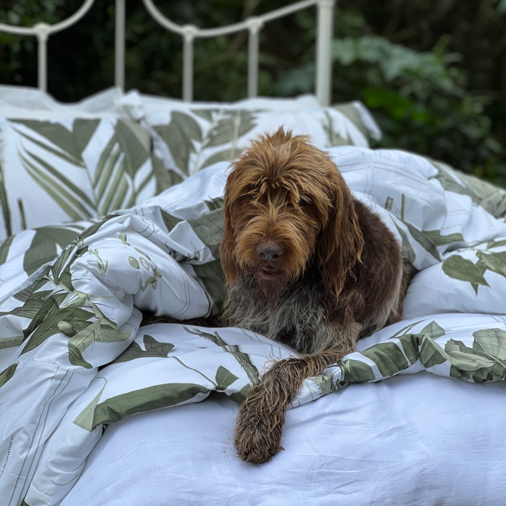 Kit Capa de Duvet Botânica Cedro | Solteiro