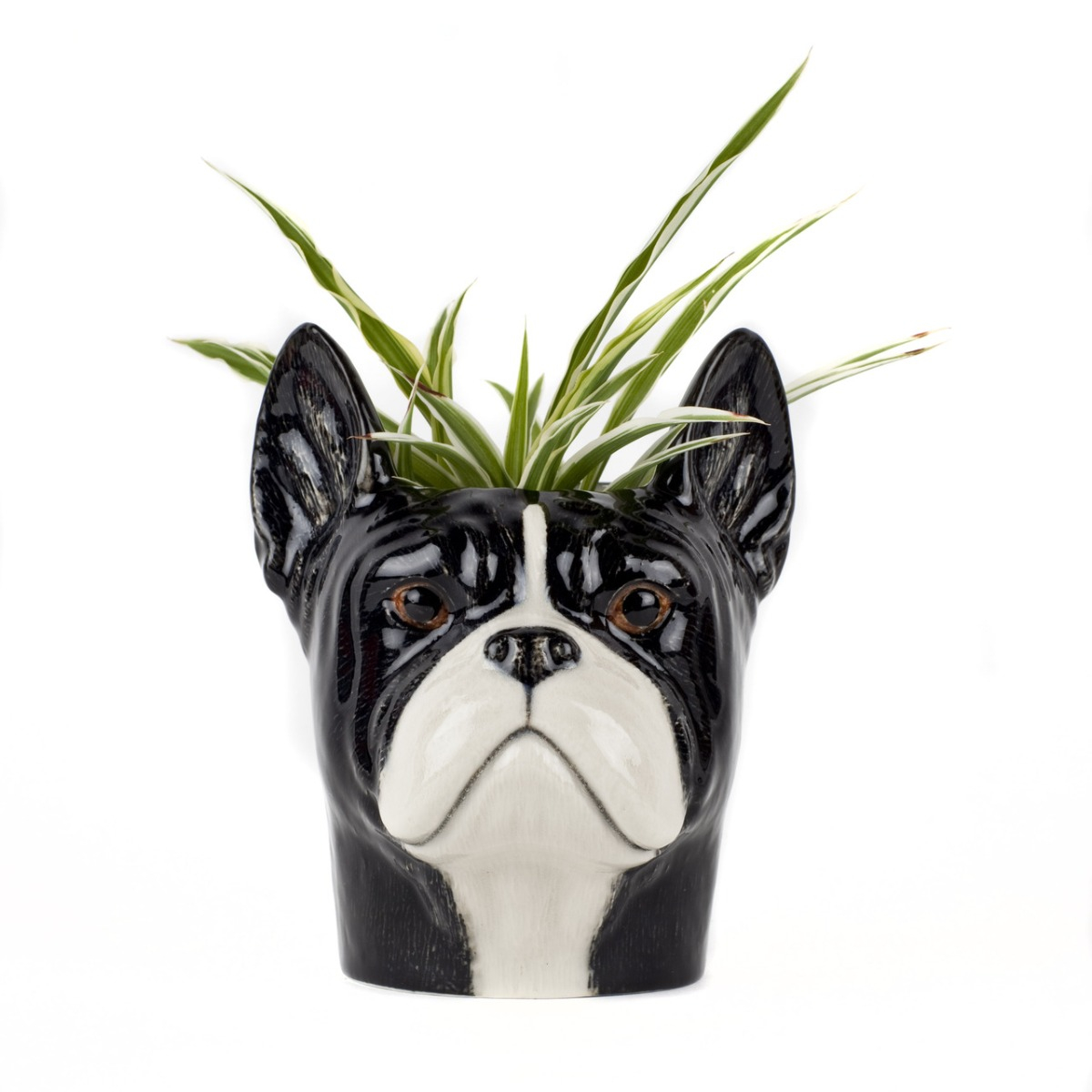 Pote Bulldog Francês Preto - SKU 20900172