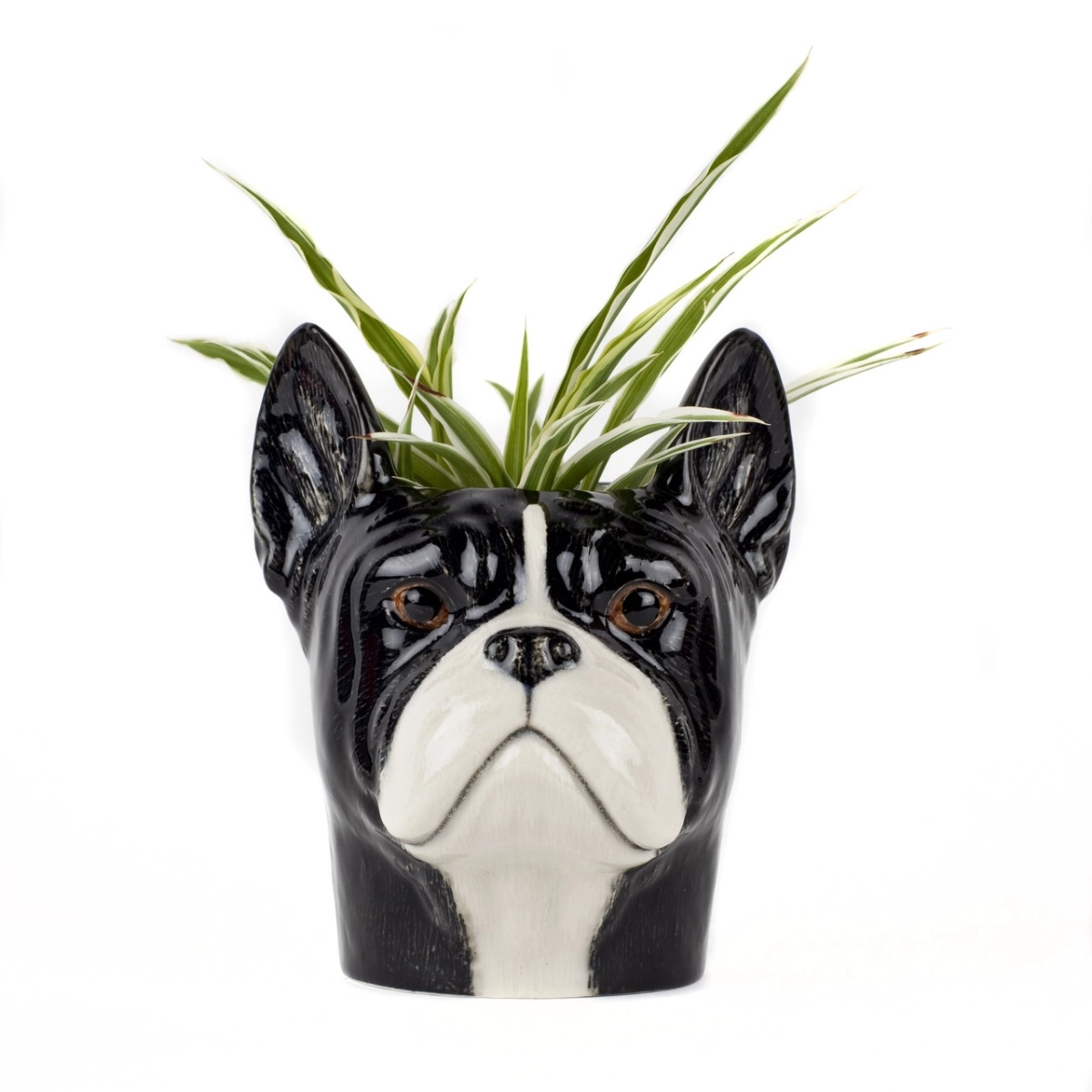 Pote Bulldog Francês Preto - SKU 20900172