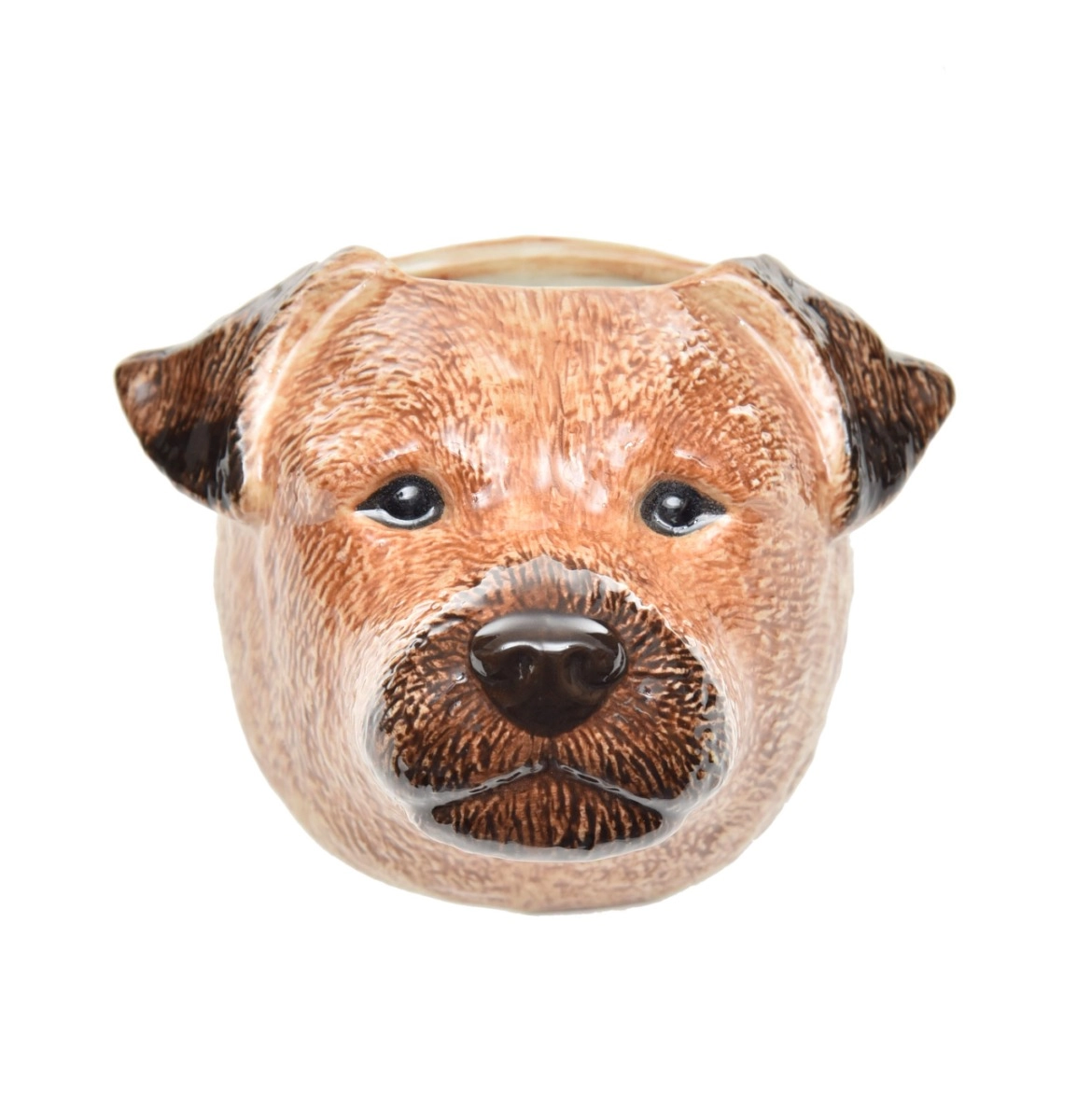 Vaso Border Terrier - SKU 14400647 Vaso Border Terrier - SKU 14400647