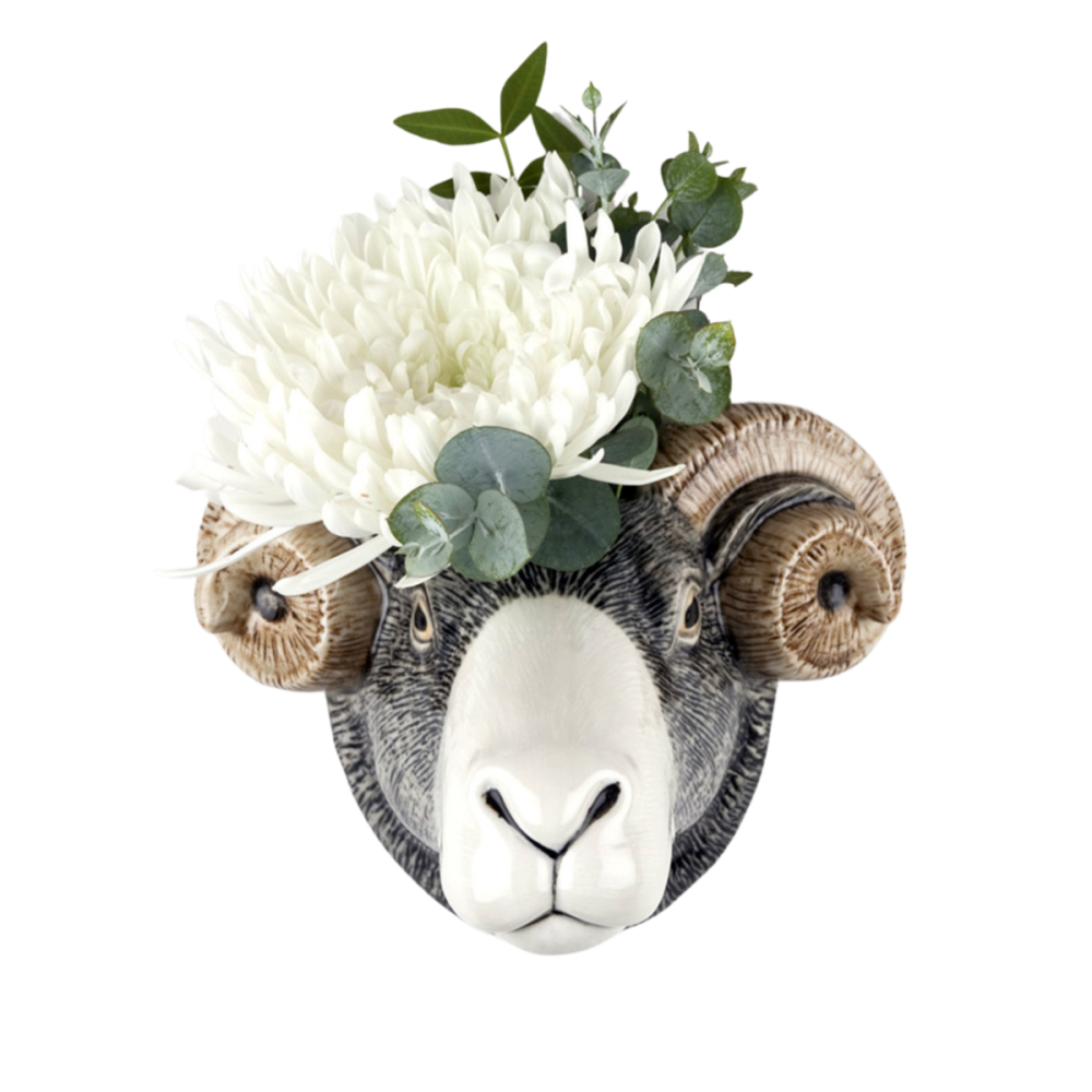 Vaso de Parede Ovelha