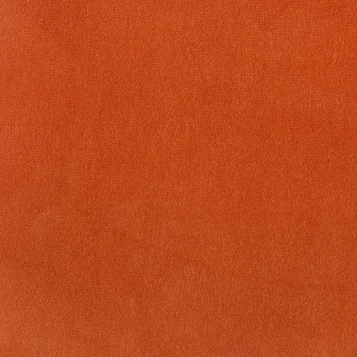 Veludo Sagg Orange