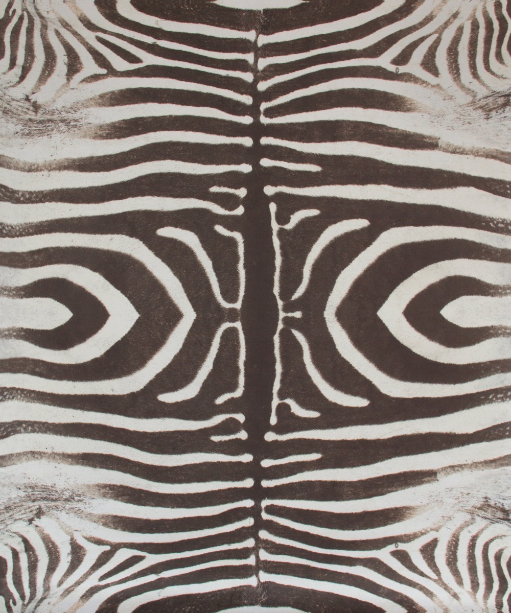 Tecido Zebra Veludo Bone