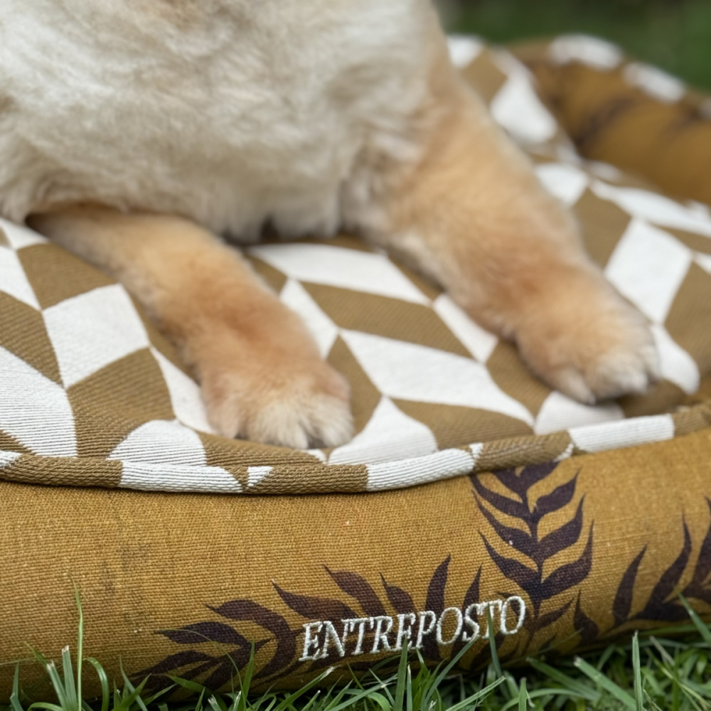 Cama London Dogs Oslo Cama London Dogs Oslo