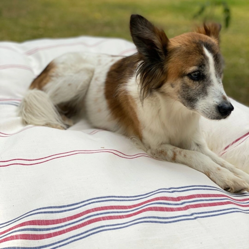 Duvet Sacaria-QUEEN Duvet Sacaria-QUEEN