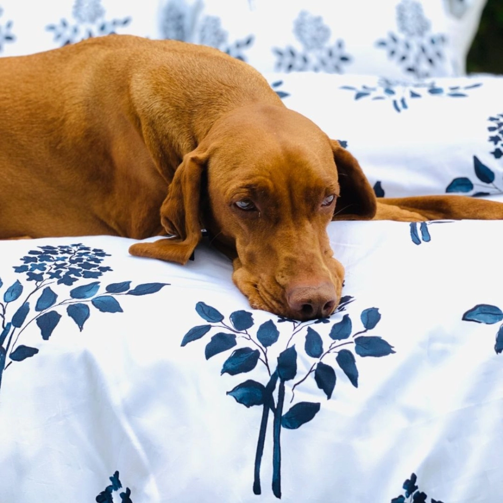 Kit Capa de Duvet Bouquet Marinho | King Kit Capa de Duvet Bouquet Marinho | King