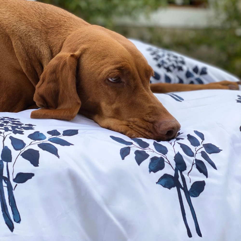 Kit Capa de Duvet Bouquet Marinho