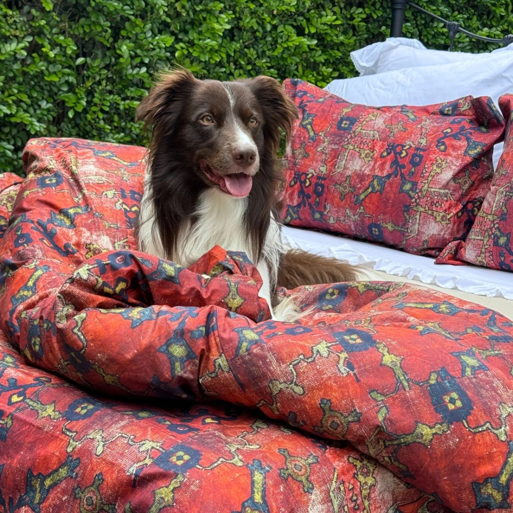 Kit Capa de Duvet Rug Zahra Queen Kit Capa de Duvet Rug Zahra Queen