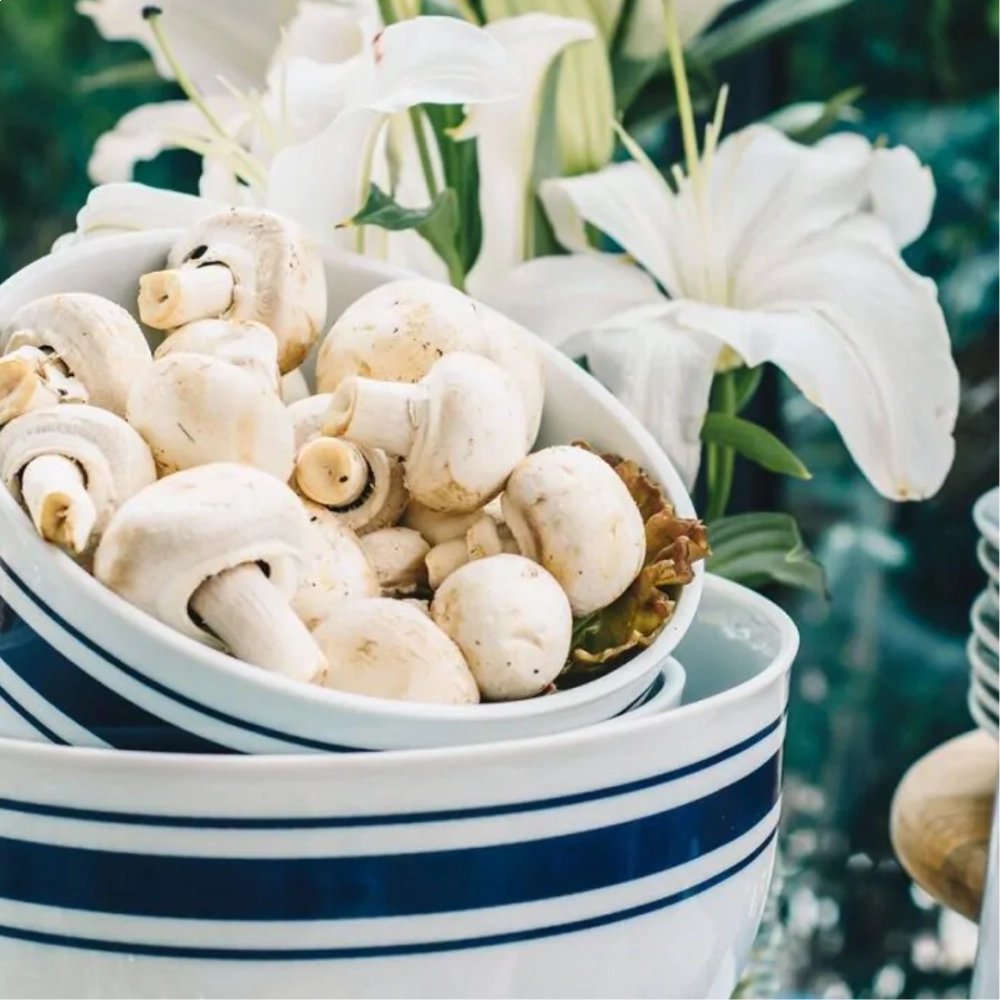 Saladeira G Saint Tropez