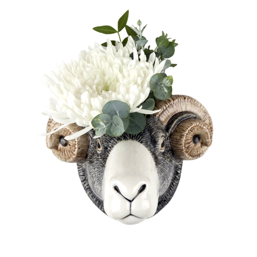 Vaso de Parede Ovelha